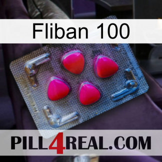 Fliban 100 13